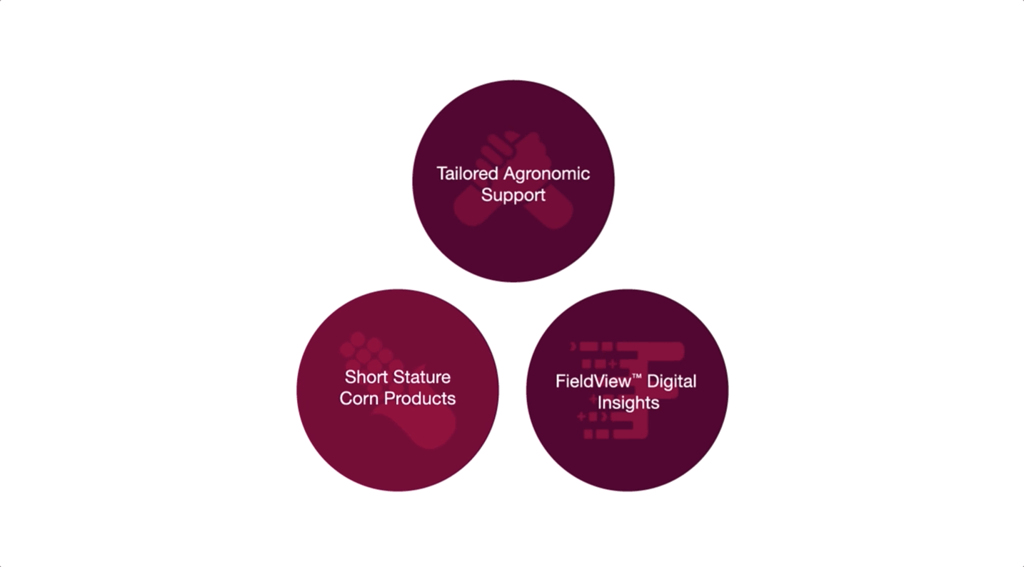 Three circles in a triangle shape, one of each with icons highlighting tailored agronomic support, short stature corn products, and FieldView Digital Insights.