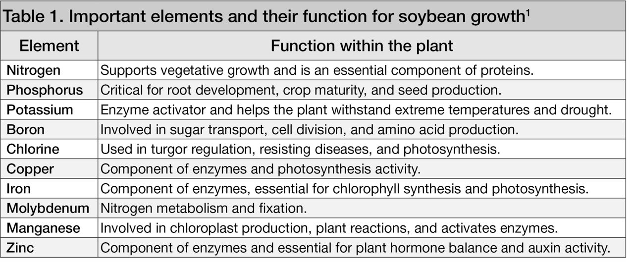 Important elements and their function for soybean growth