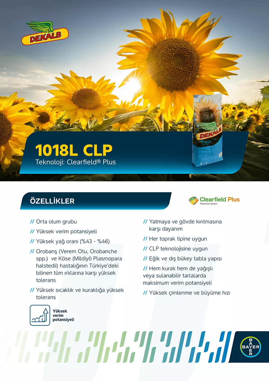 1018L CLP