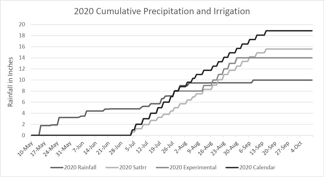 Figure 2: Irrigation totals were high for all three irrigation strategies in 2020 