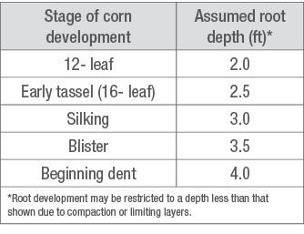 Average root depth of corn at various growth stages