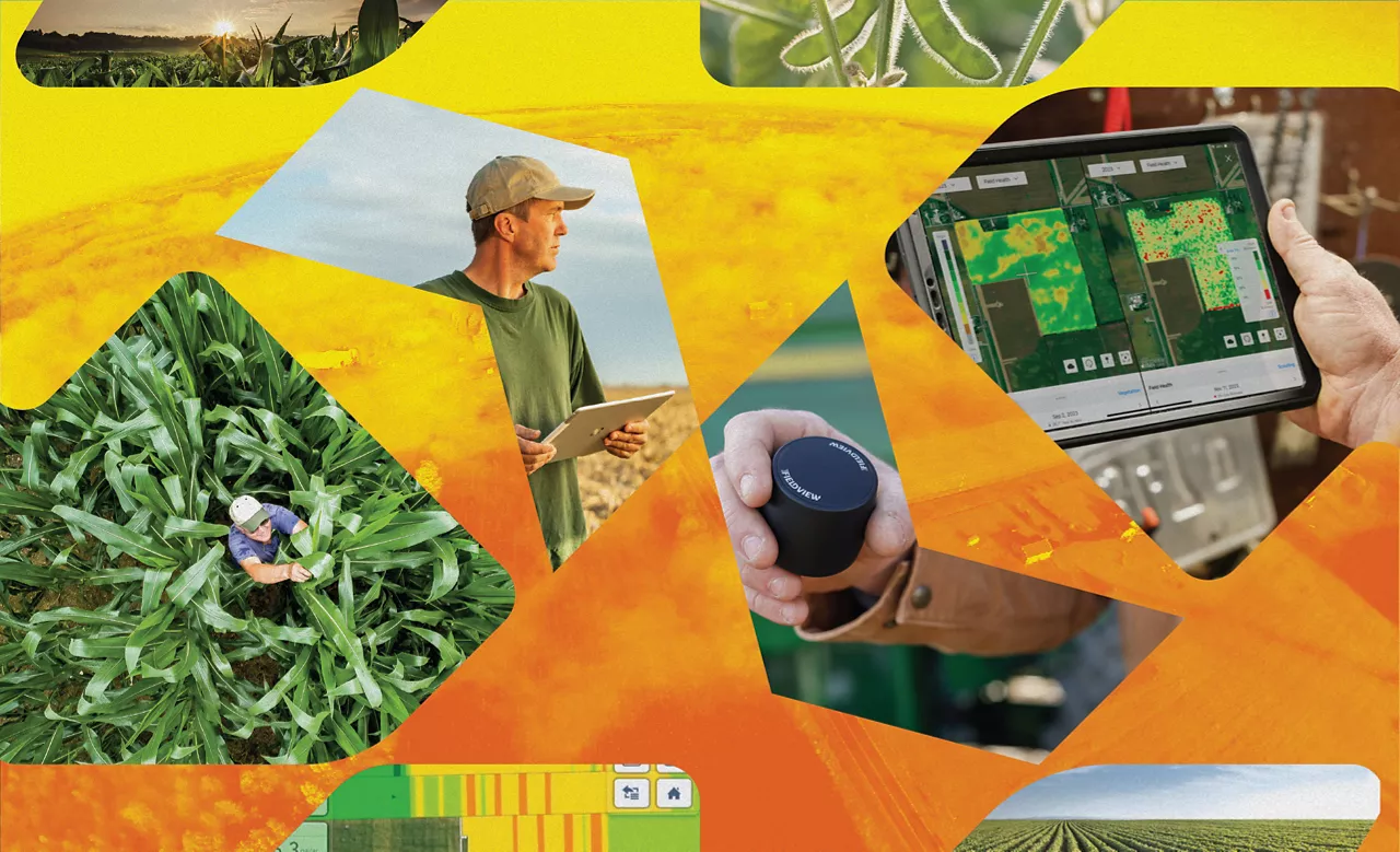 Collage of current FieldView visuals