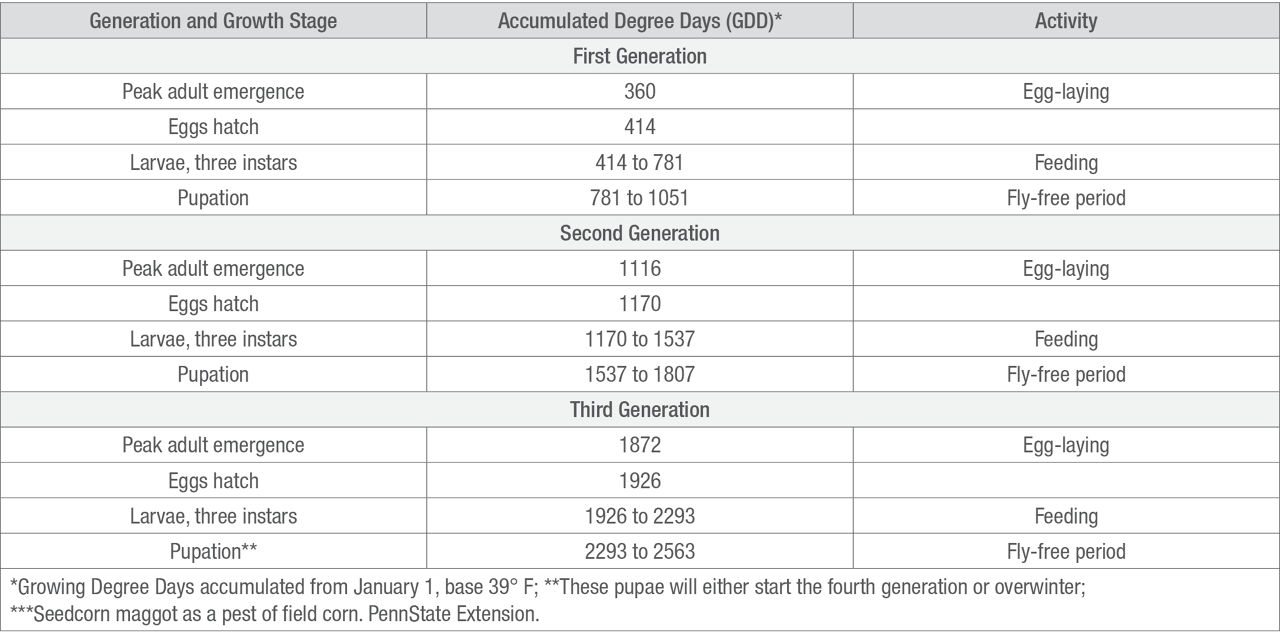 Seedcorn Maggot Life Cycle and Activity by Growing Degree Days***