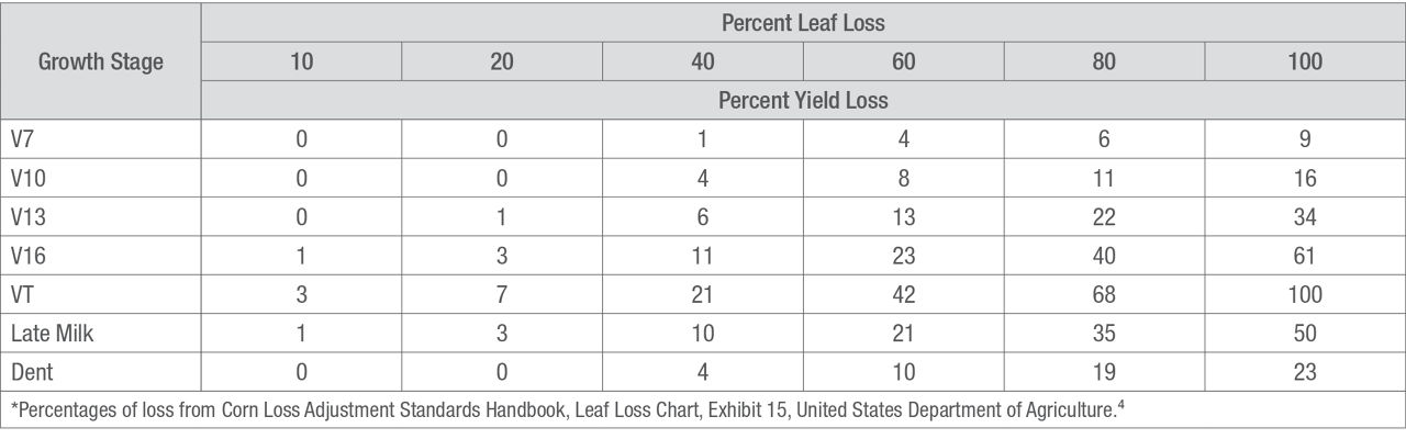 Percent of potential corn yield loss by percent of leaf loss at several corn growth stages.*  *Percentages of loss from Corn Loss Adjustment Standards Handbook, Leaf Loss Chart, Exhibit 15, United States Department of Agriculture.4.4Corn loss adjustment standards handbook. FCIS-25080 (11-2023). United States Department of Agriculture (USDA) and Federal Crop Insurance Corporation (FCIC). https://www.rma.usda.gov/-/media/RMA/Handbooks/Loss-Adjustment-Standards---25000/Corn/2024-25080-Corn-Loss-Adjustment-Handbook.ashx