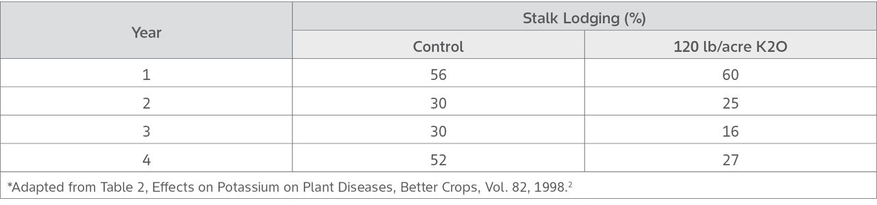 Potassium Fertilizer Effect on Corn Yield and Lodging Potentials*  *Adapted from Table 2, Effects on Potassium on Plant Diseases, Better Crops, Vol. 82, 1998.2