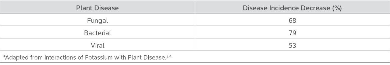 Potassium fertilizer effect on disease incidence* *Adapted from Interactions of Potassium with Plant Disease.3,4