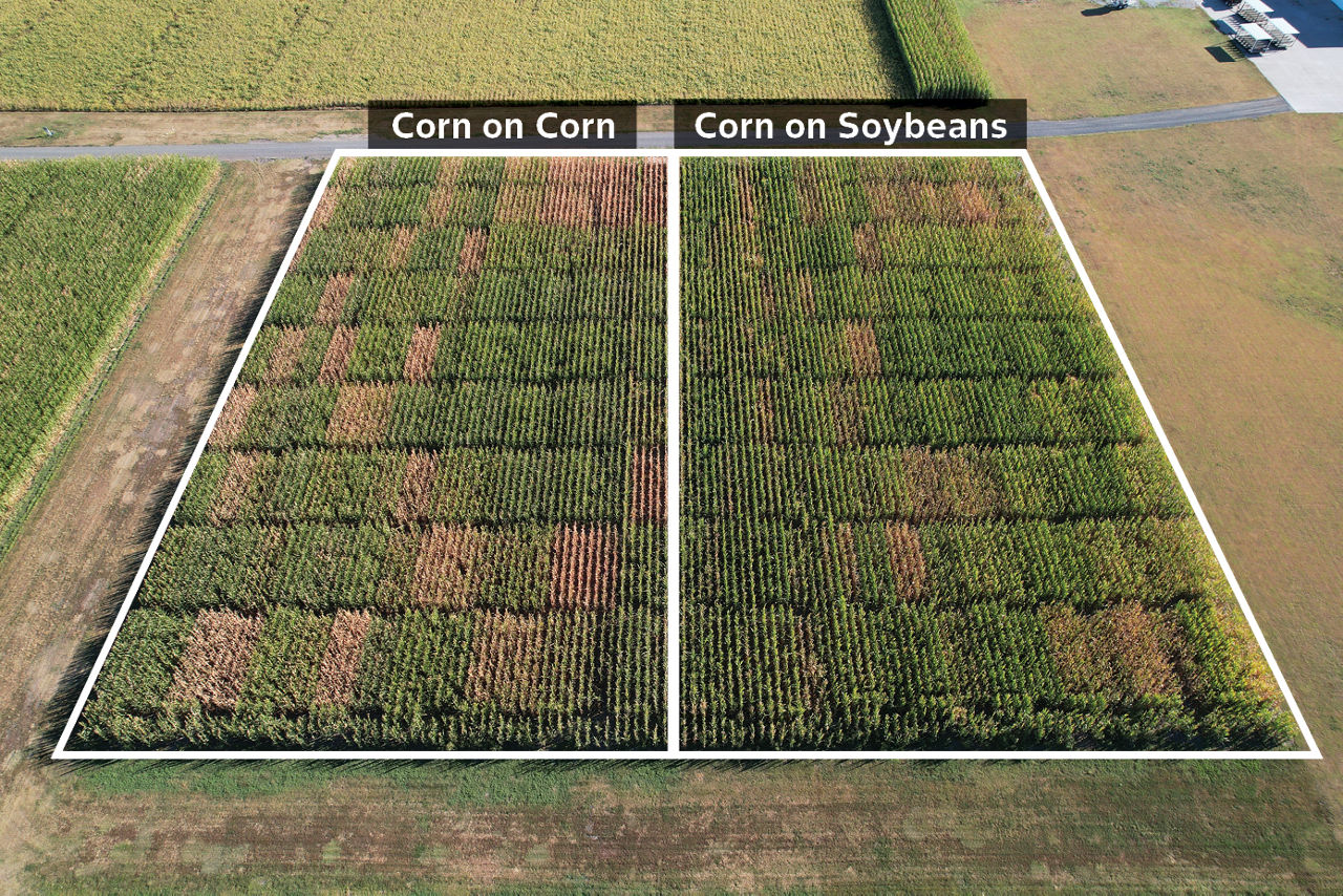 UAV image of the study site. The left side of the field represents a corn-on-corn (CN-CN) rotation, while the right side shows a corn-on-soybean (CN-SB) rotation. 