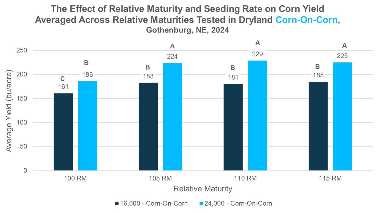 Average corn grain yields across different relative maturities and seeding rates in a corn-on-corn system. Bars labeled with different letters indicate statistically significant differences at α = 0.1. Least significant difference (LSD) = 9.15 bu/acre. 