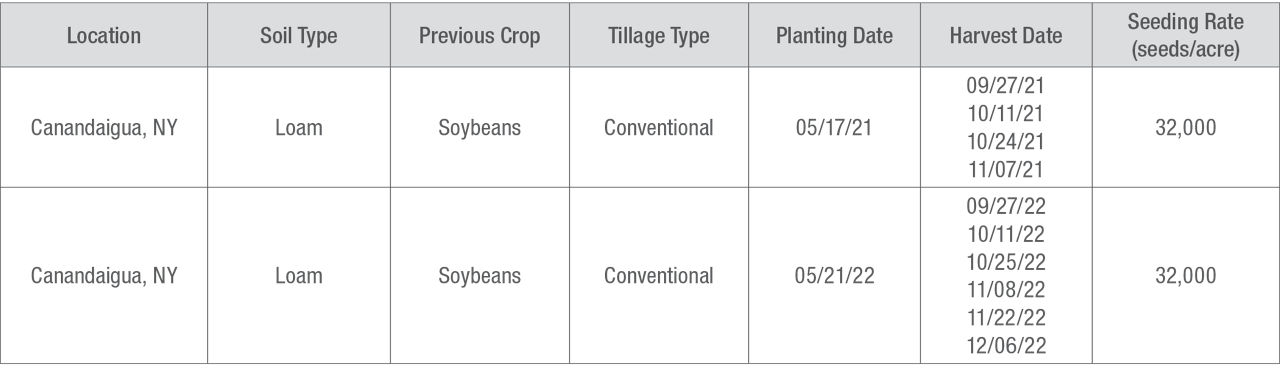 Site details