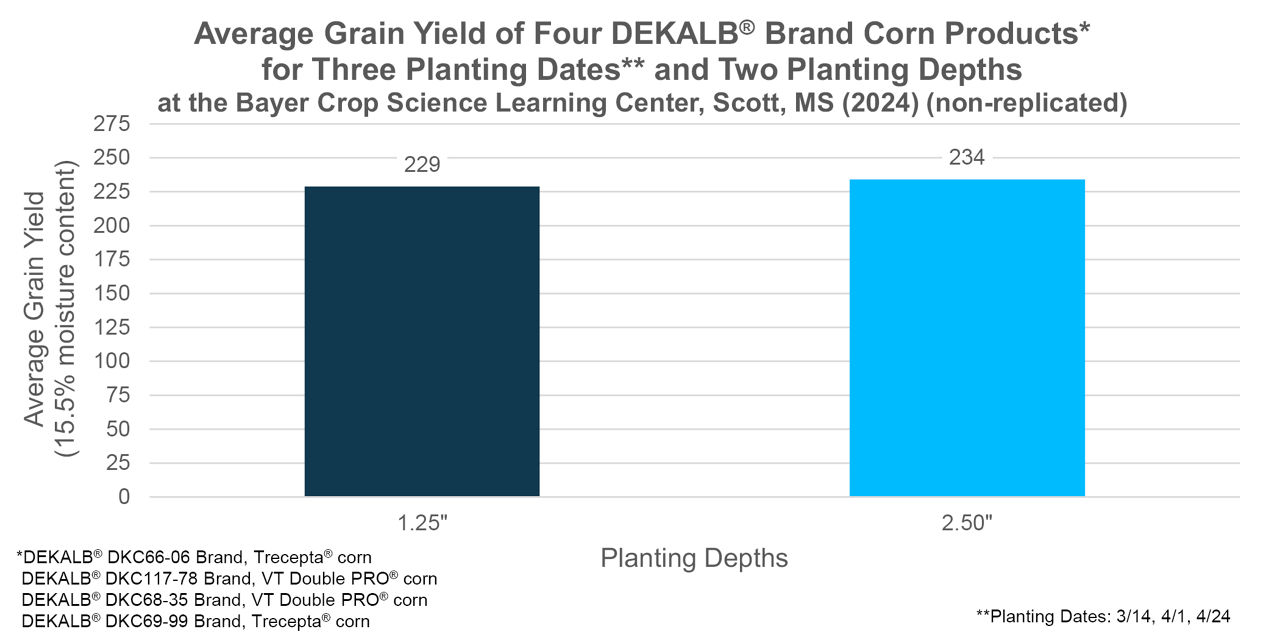 Figure 3. Average grain yield by planting depth 