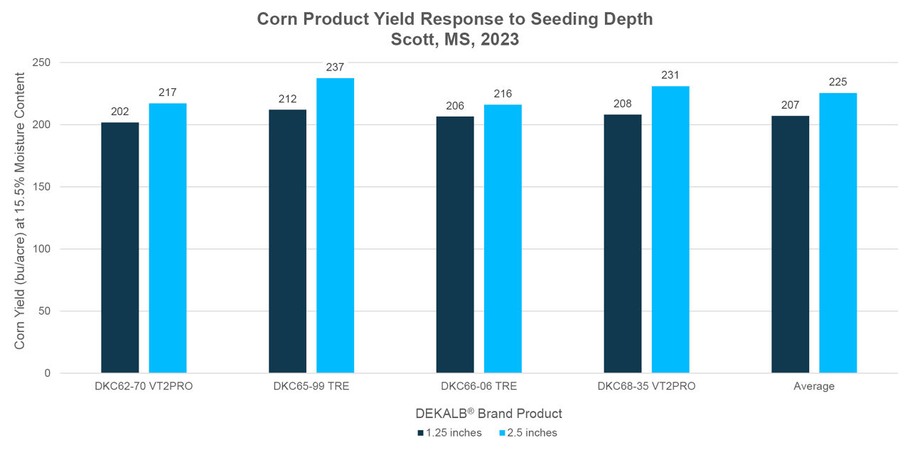 Corn product yield response to seeding depth, data combined from all three planting dates. 