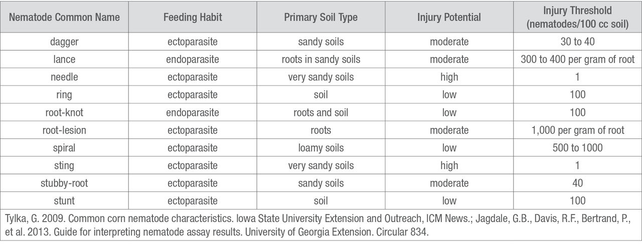 Common corn nematode characteristics and injury thresholds.