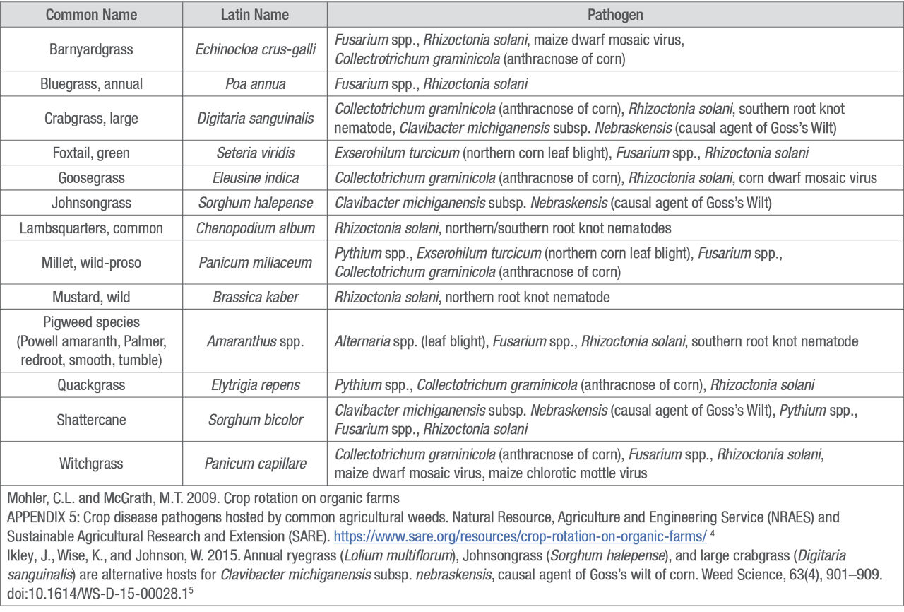 Corn pathogens hosted by common weed species. 
