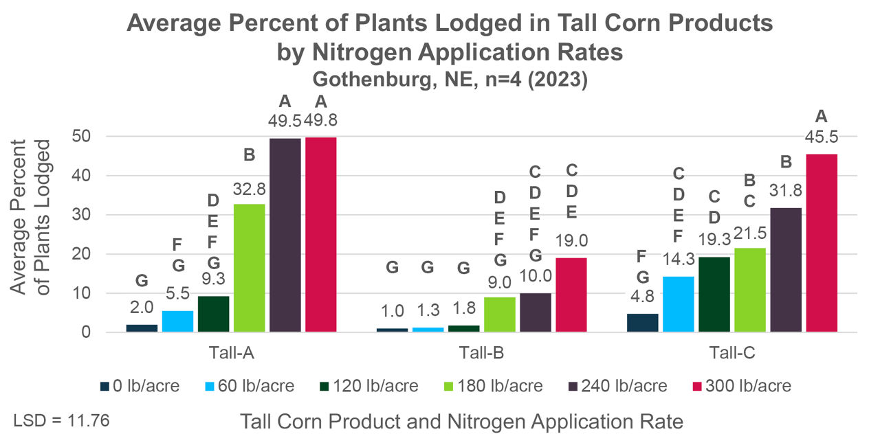 Figure 2A. Average rate of lodging by nitrogen treatment and corn product for tall products tested in Gothenburg, NE in 2023. Letters indicating statistical significance apply to Figures 2A and 2B. 