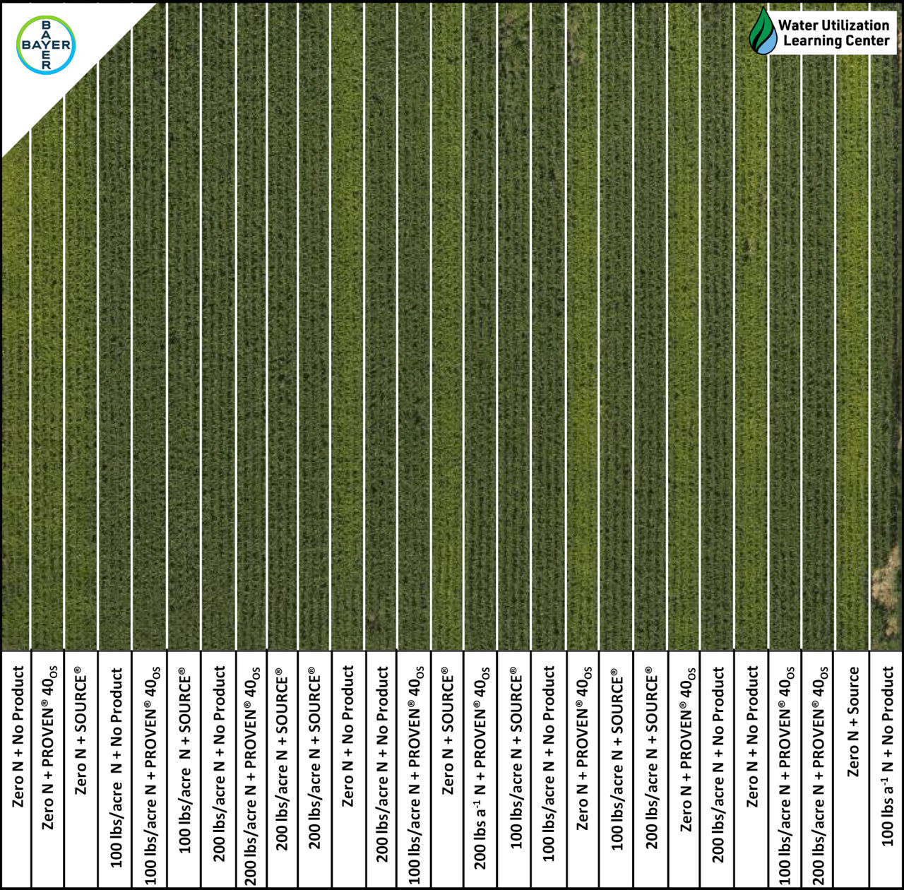  1. Aerial image of corn, nitrogen rates, and biological products trial in Gothenburg, NE. Note the light green strips where no nitrogen (N) was applied. Picture taken on August 11, 2023. 