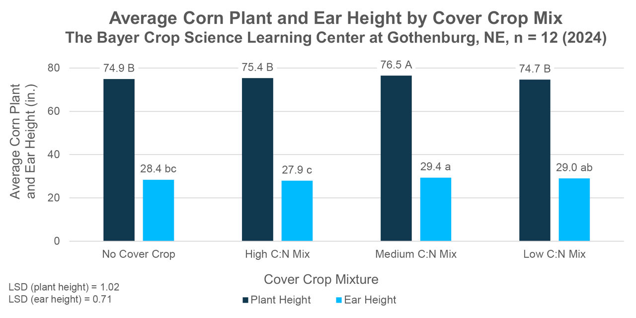 Corn plant and ear height, averaged across nitrogen application rates and replications, by cover crop mix. 