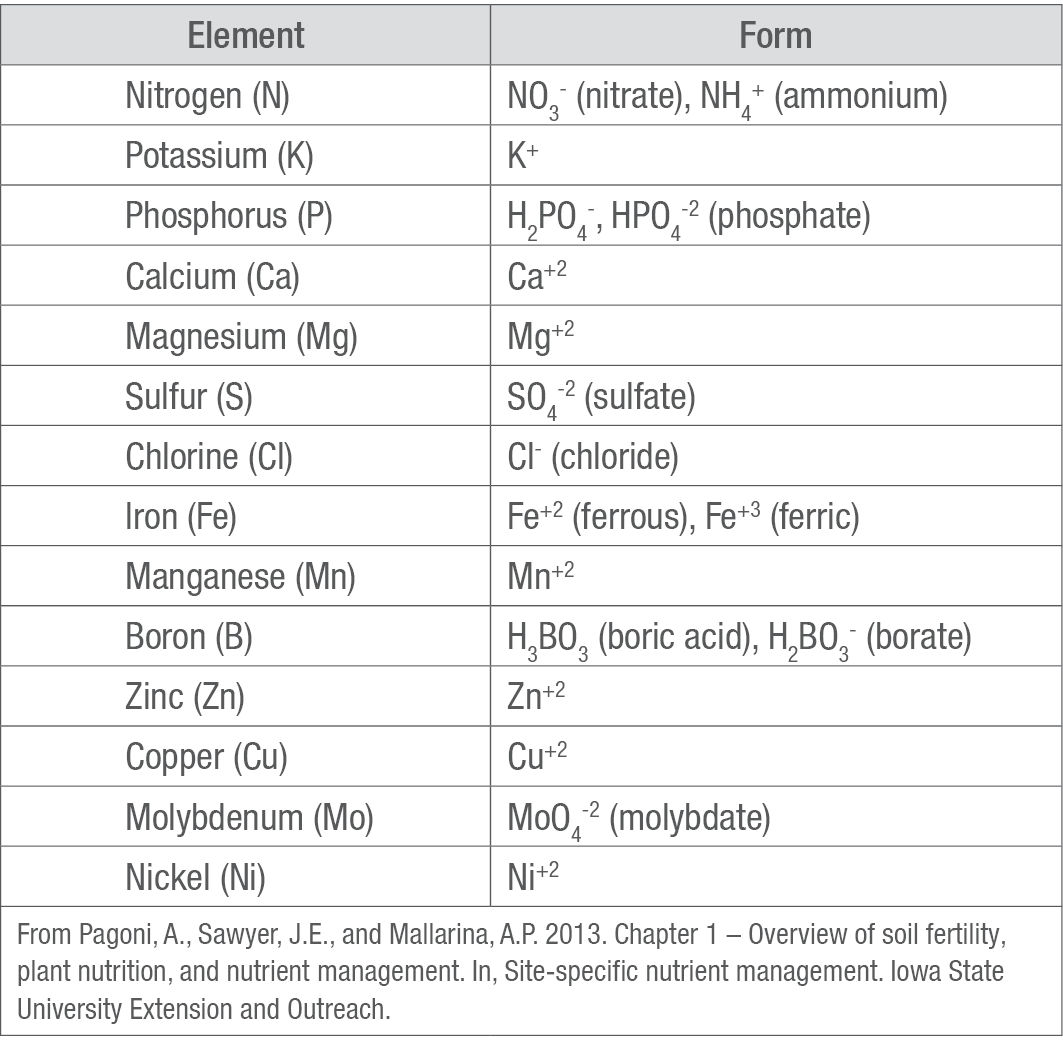 Nutrient forms taken up by plants.