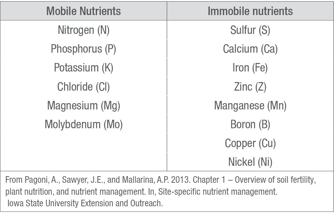 Mobile and Immobile Nutrients