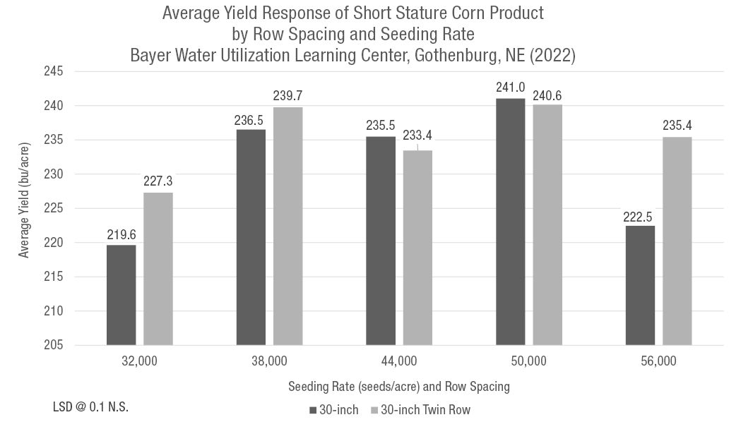Row Spacing and Seeding Rate Effects on Short Stature Corn Yields ...