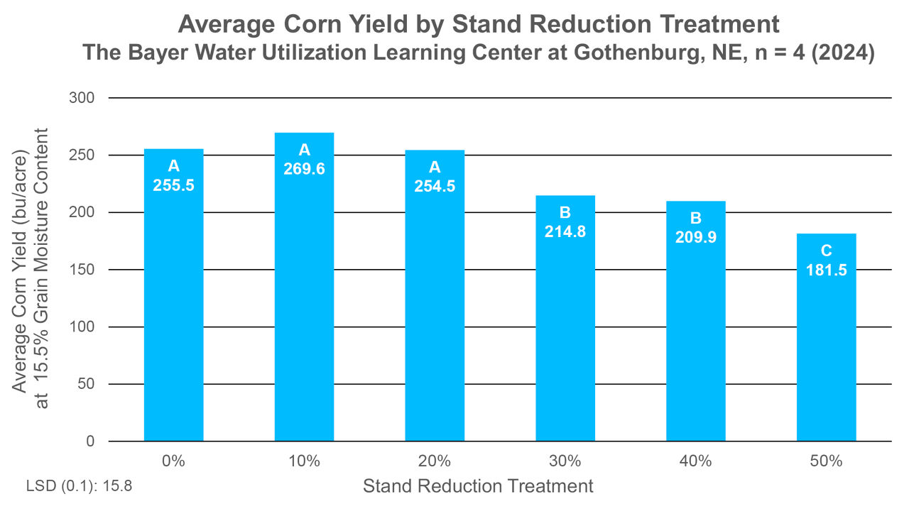 Figure 1. Average corn yields by stand reduction (%) treatments. The Bayer Water Utilization Learning Center, Gothenburg, NE (2024).  