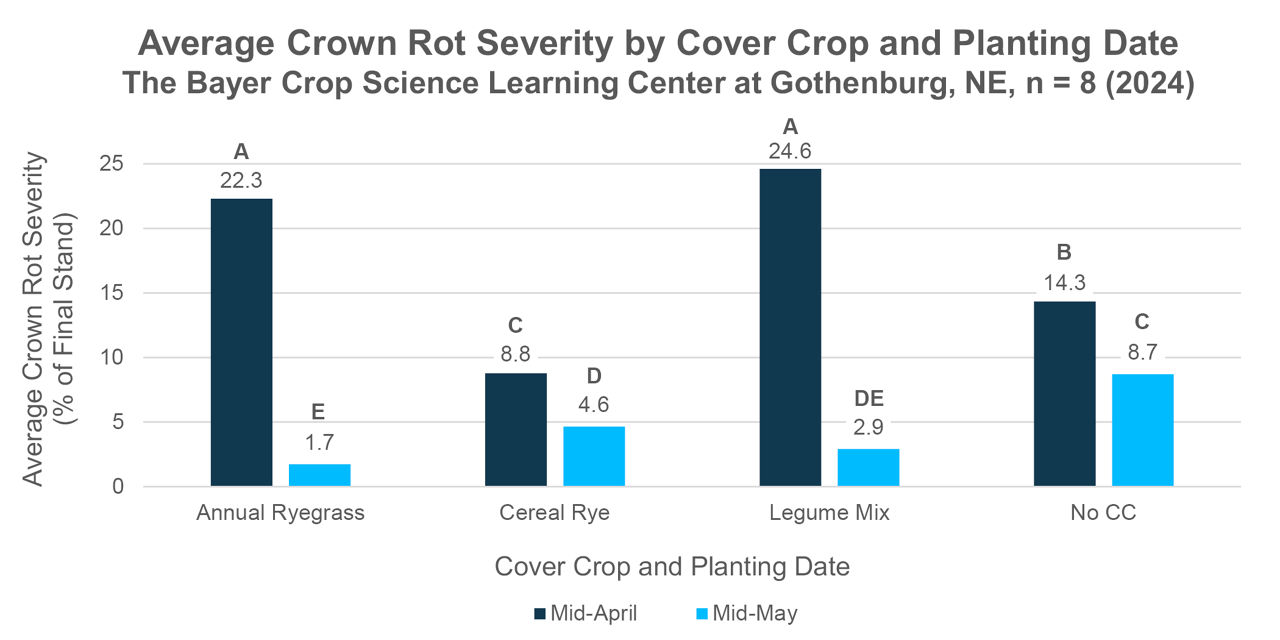 Average crown rot severity over both corn products 