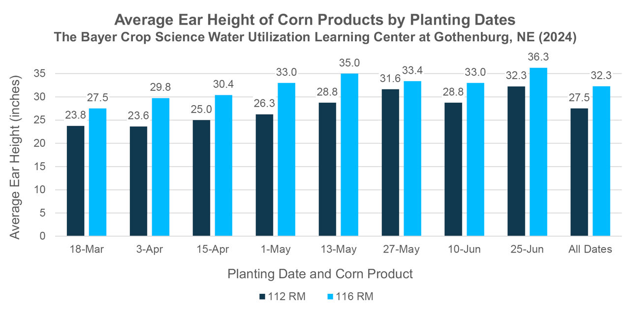 Average ear height of two corn products across eight planting dates