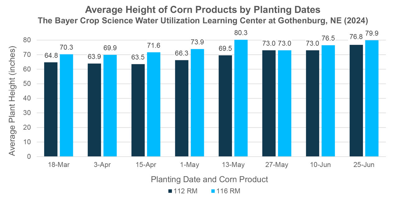 Average height of two corn products across eight planting dates 