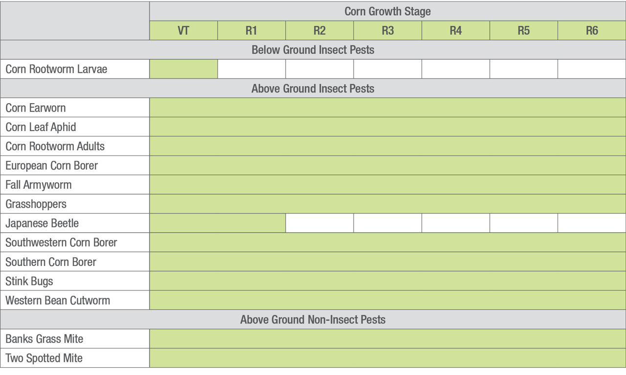 Late-season corn pests from VT to R6. 