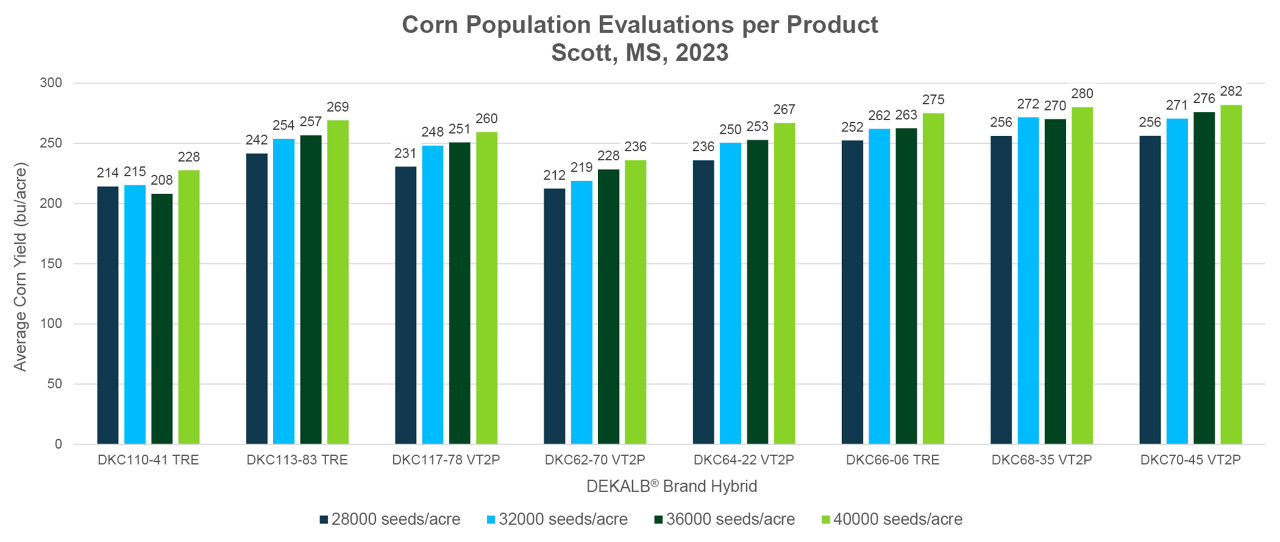 Corn population evaluations per product. Scott, MS, 2023