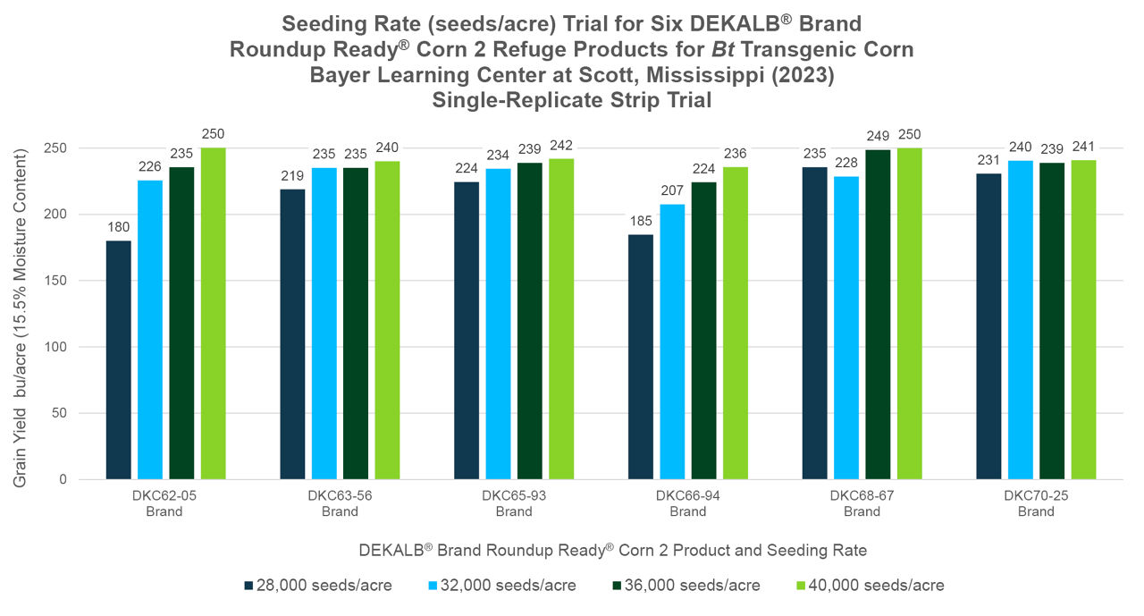 Figure 1. Yields of six DEKALB® Brand Roundup Ready® Corn 2 products at four planting rates at the Bayer Learning Center, Scott, Mississippi in 2023.