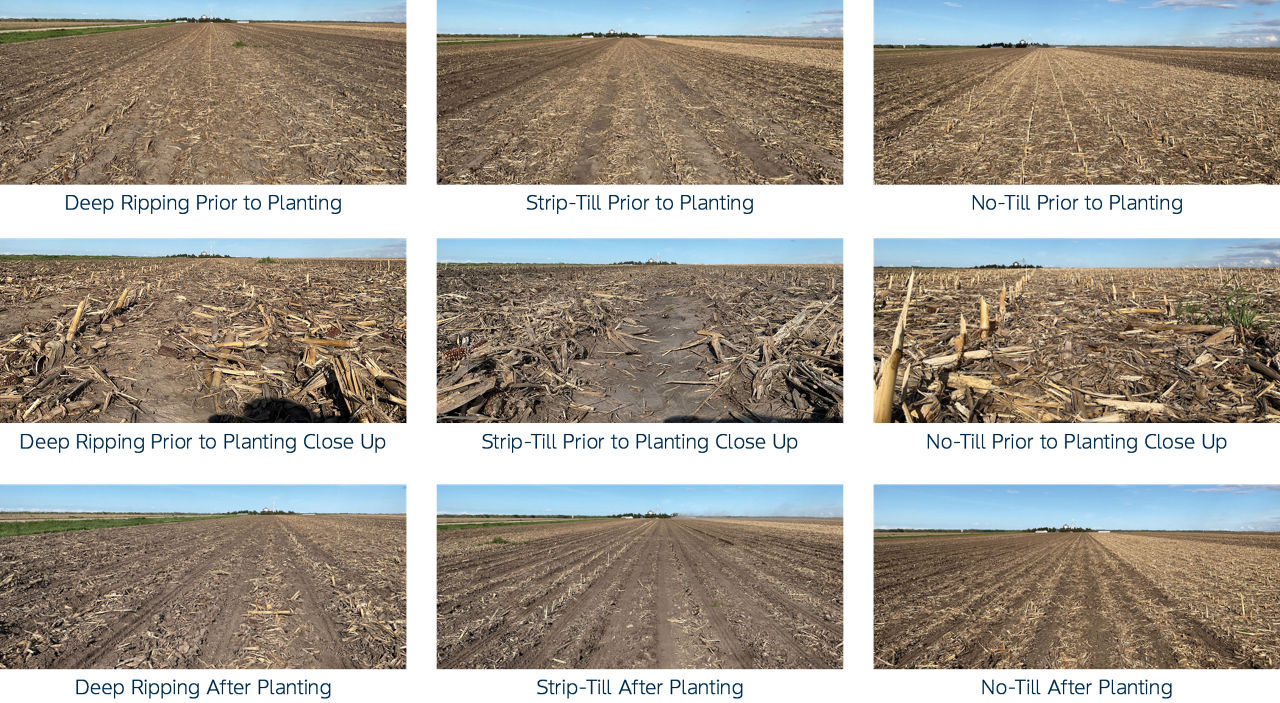 All three tillage practices at time of planting, showing soil and residue conditions for all treatments.