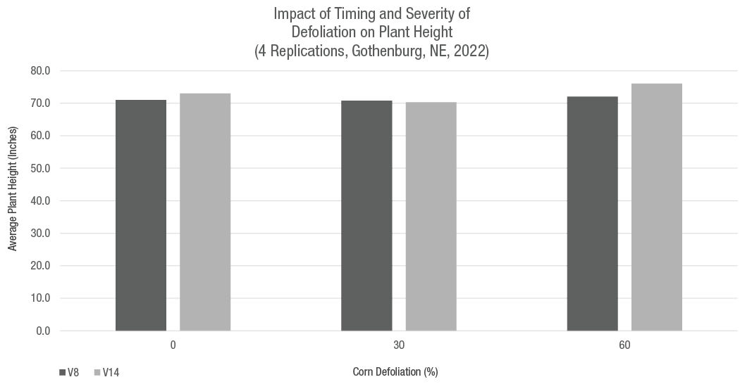 Proper timing of defoliation is important decision for cotton