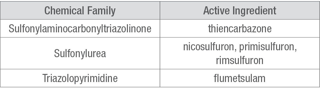 Table showing chemical family and active ingredient