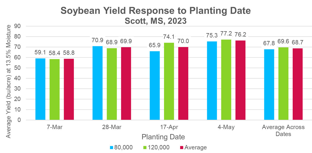 Figure 2. Soybean yield response to planting date at 80,000 and 120,000 seeds/acre planting rates, averaged across soybean products.  