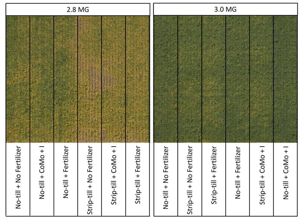 Aerial image from the soybean tillage and fertilizer trial in Gothenburg, NE. 