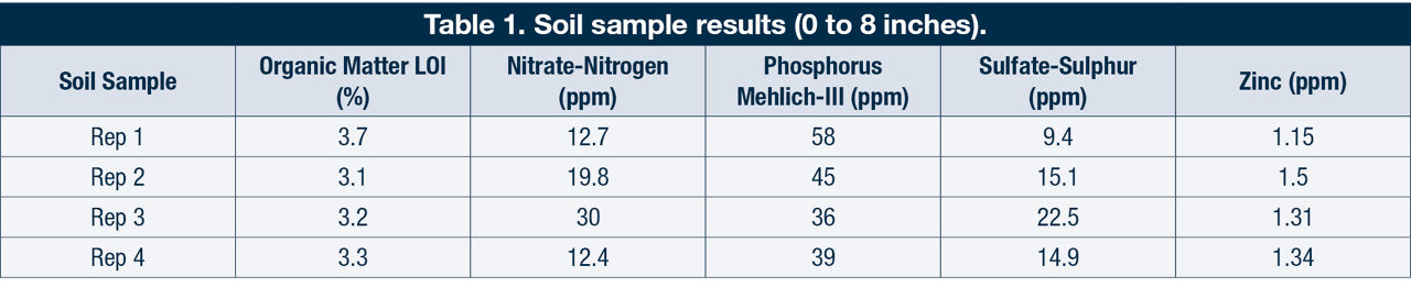 . Soil sample results (0 to 8 inches). 