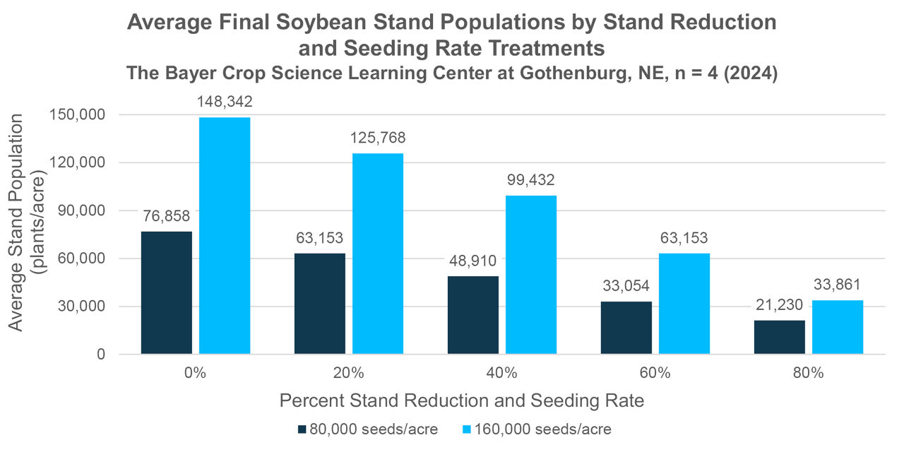 Final soybean stands at harvest, averaged across four replications, for the stand reduction treatments and seeding rates 