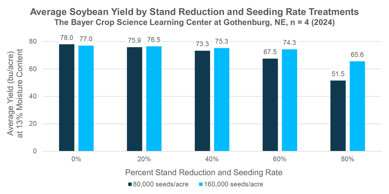 Soybean yield averaged across four replications by stand reduction and seeding rate treatments.