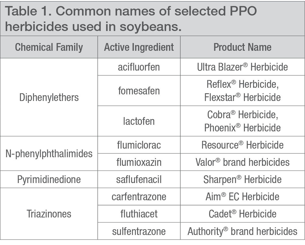 Common names of selected PPO herbicides used in soybeans.