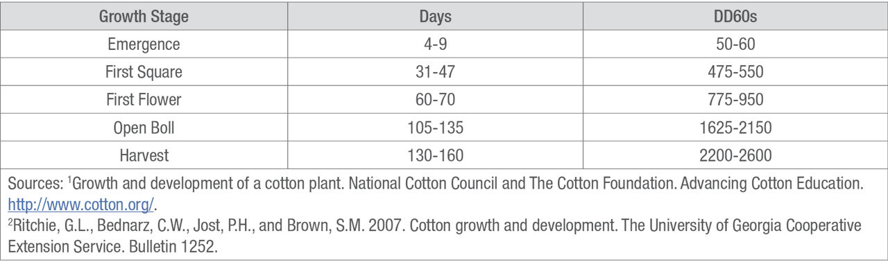 Cotton Growth and Development