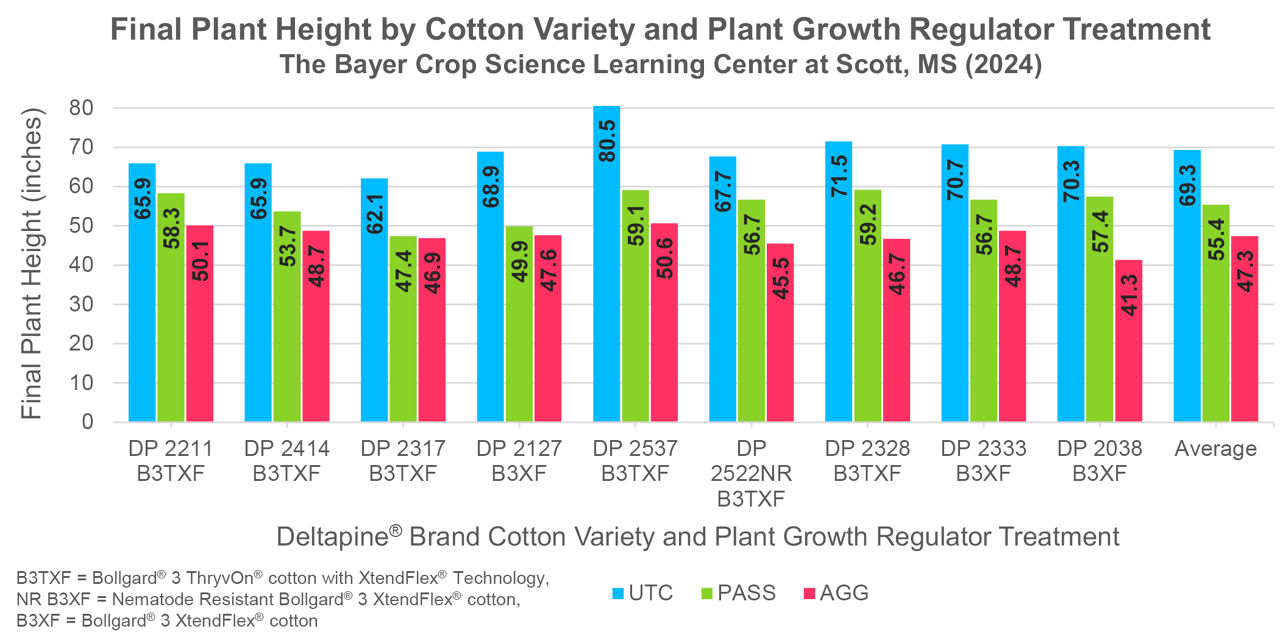 . Final plant height by Deltapine® brand cotton variety and plant growth regulator treatment. The Bayer Crop Science Learning Center at Scott, Mississippi (2024). 