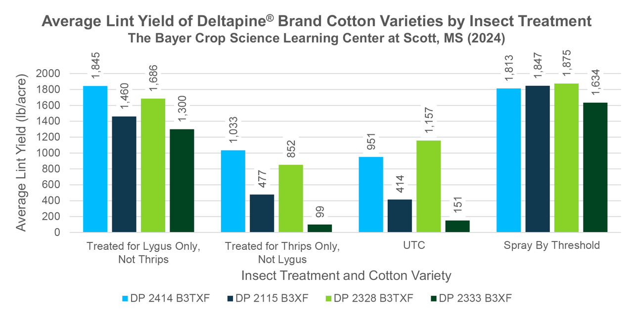 Average cotton lint yield by insect treatment and variety tested 