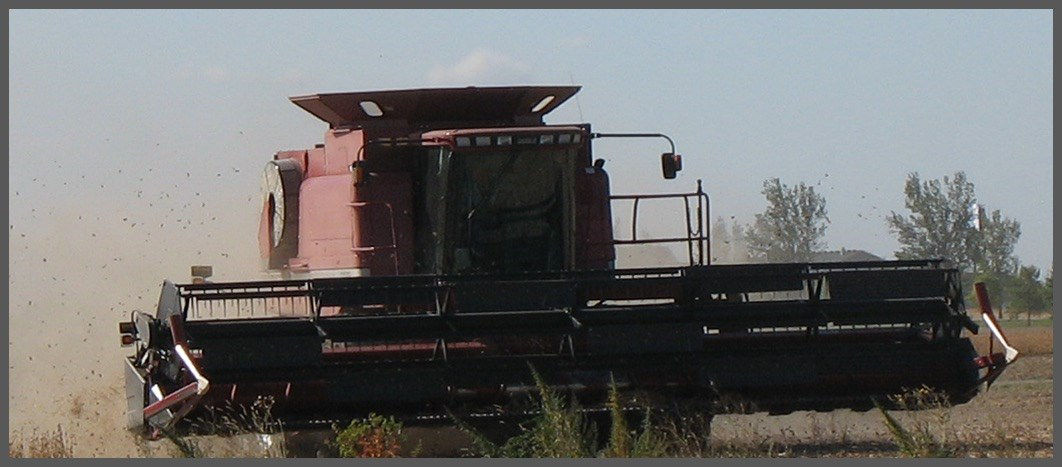 DCHO 02