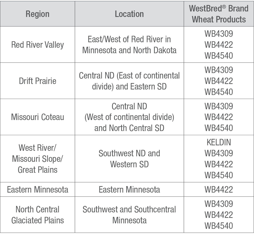 table image