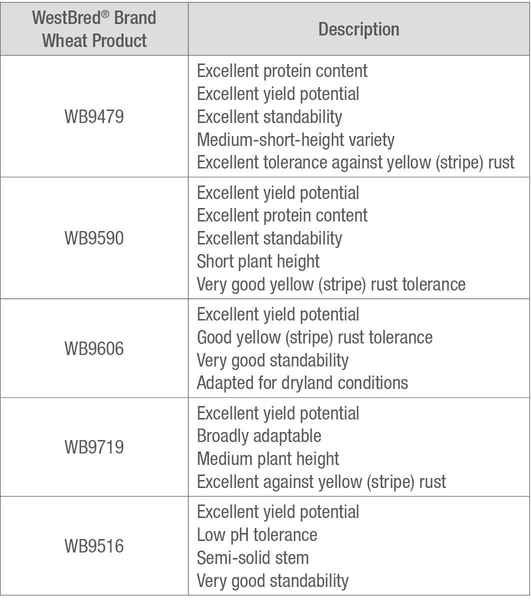 table image