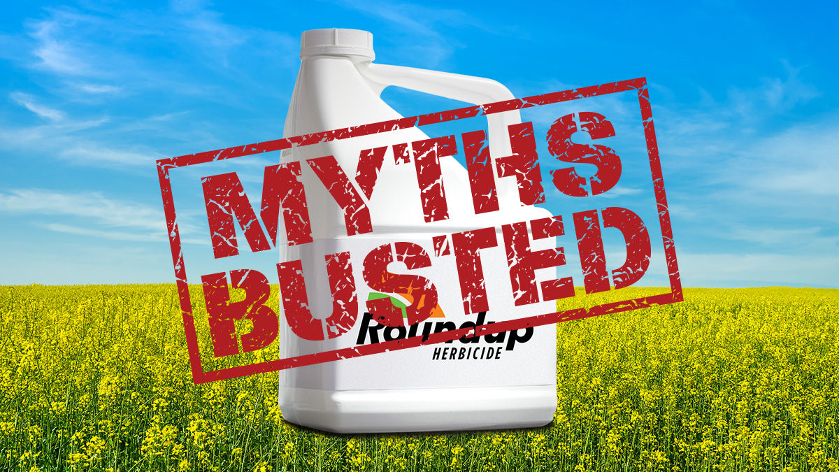 Graphic of Roundup Herbicide bottle with an overlay of Myths Busted.  With the background of a field of Canola