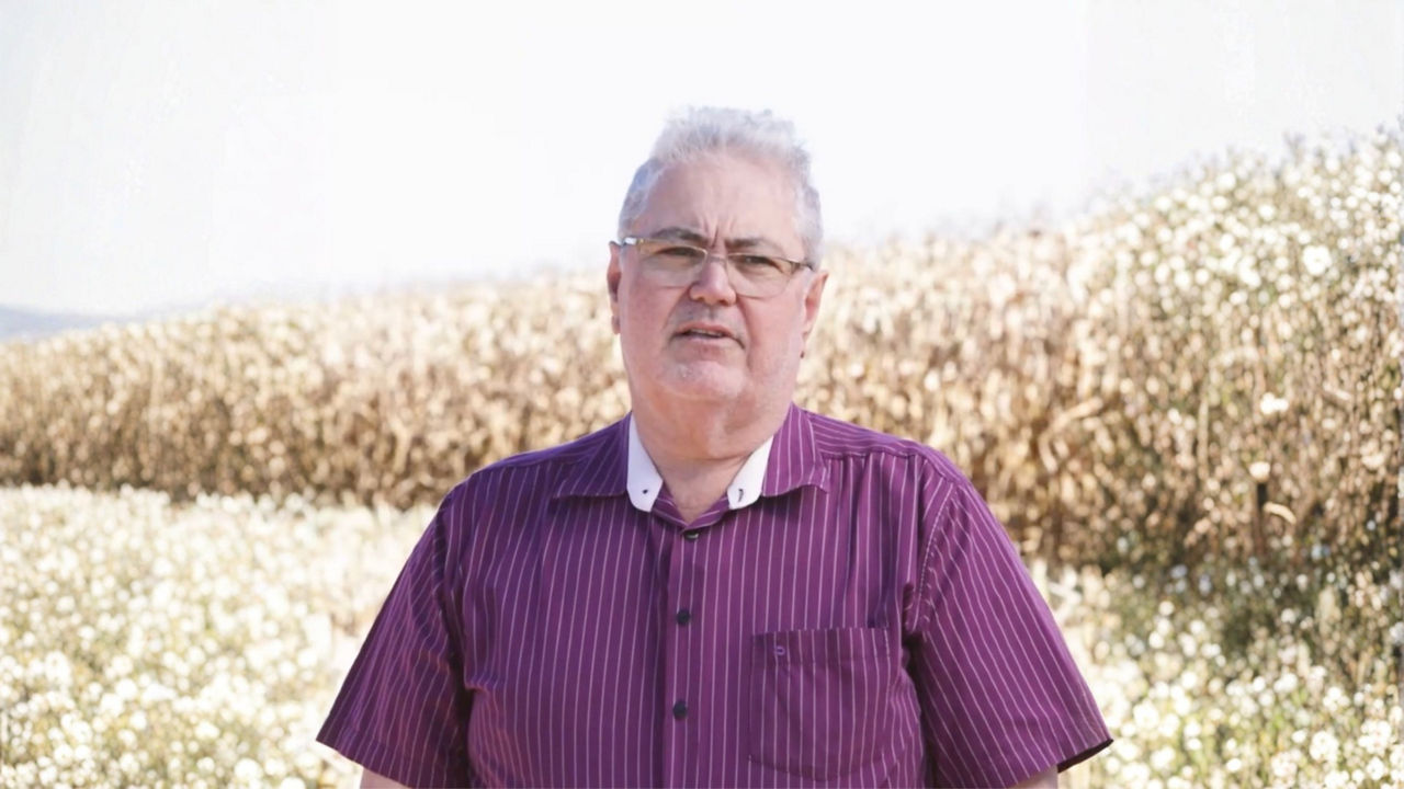 Celestino Piotto