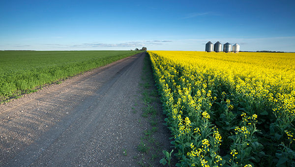 Country road out in the Prairies, Saskatchewan. Image taken from a tripod.