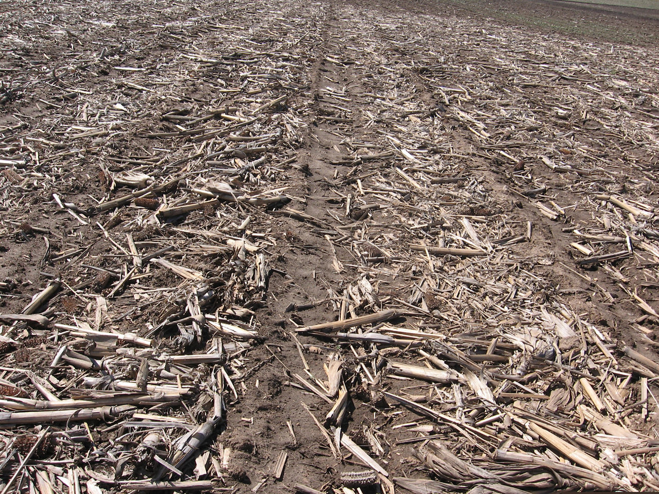 Tillage - Strip Till 4