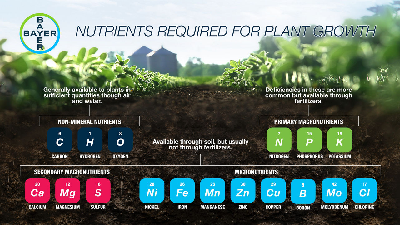 Mineral Nutrients Required for Plant Growth